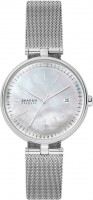 Купити наручний годинник Skagen SKW2979  за ціною від 10686 грн.