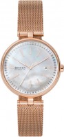 Купить наручний годинник Skagen SKW2980: цена от 5180 грн.