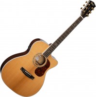 Купить гитара Cort Gold OC8  по цене от 37538 грн.