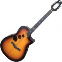 Купить гітара Alfabeto Gamma: цена от 12432 грн.