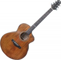 Купить гітара Alfabeto Solid Elegance Awesome: цена от 10500 грн.