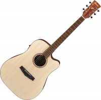 Купить гитара Ibanez PF10CE  по цене от 9880 грн.