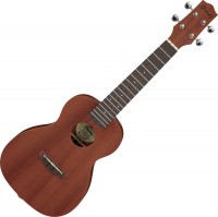 Купить гитара Ibanez UKC100: цена от 4864 грн.