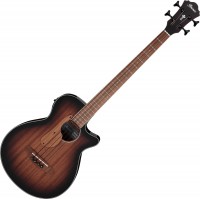 Купить гитара Ibanez AEGB24E: цена от 19000 грн.