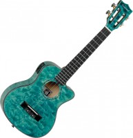Купити гітара Tanglewood TWT24E  за ціною від 22315 грн.
