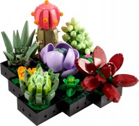 Купить конструктор Lego Succulents 10309  по цене от 1599 грн.