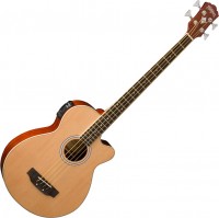 Купити гітара Washburn AB5  за ціною від 17761 грн.