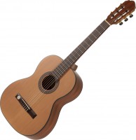 Купить гитара GEWA Pro Arte CM-100: цена от 18360 грн.