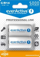 Купить аккумулятор / батарейка everActive Professional Line 2xC 5000 mAh: цена от 510 грн.