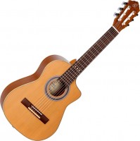 Купить гитара Ortega RQ39E: цена от 18400 грн.