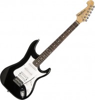 Купить електрогітара / бас-гітара Washburn WS 300 H: цена от 15229 грн.