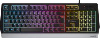 Купить клавиатура Genesis Rhod 300 RGB  по цене от 493 грн.