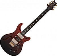 Купить гитара PRS Special Semi-Hollow 2021: цена от 255479 грн.