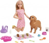 Купить кукла Barbie Doll And And Newborn Pups Playset With Dog HCK75  по цене от 990 грн.