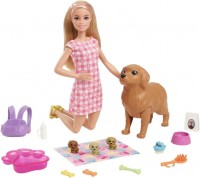 Купить кукла Barbie Doll And And Newborn Pups Playset With Dog HCK75  по цене от 1350 грн.