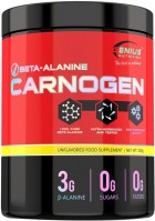 Купить аминокислоты Genius Nutrition Carnogen (300 g) по цене от 793 грн.