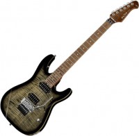 Купить гитара Harley Benton Fusion-III HH FR Roasted: цена от 23999 грн.