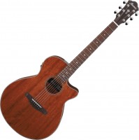 Купить гітара Ibanez AEG220: цена от 31999 грн.