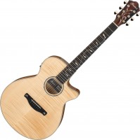 Купить гитара Ibanez AEG750  по цене от 22400 грн.