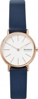 Купить наручний годинник Skagen SKW2838: цена от 6570 грн.