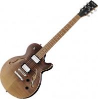 Купить гитара Harley Benton Aeolus  по цене от 23999 грн.