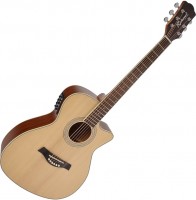 Купити гітара Richwood RG-16-CE  за ціною від 17600 грн.