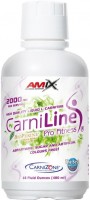 Купить спалювач жиру Amix CarniLine 2000 mg 480 ml: цена от 713 грн.