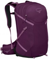 Купити рюкзак Osprey Sportlite 25  за ціною від 5095 грн.