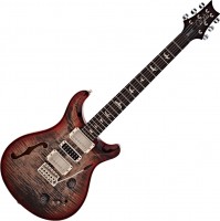 Купить електрогітара / бас-гітара PRS Special Semi-Hollow 2022: цена от 259182 грн.