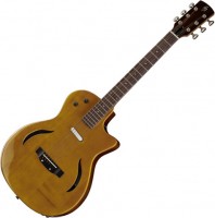 Купить гітара Harley Benton Hybrid Steel: цена от 24999 грн.