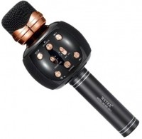 Купить микрофон WSTER WS-2911  по цене от 579 грн.