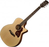 Купить гітара Richwood G-22-CE: цена от 28980 грн.