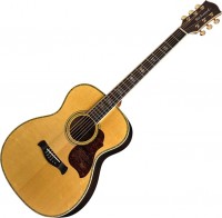 Купить гітара Richwood A-70-VA: цена от 36266 грн.