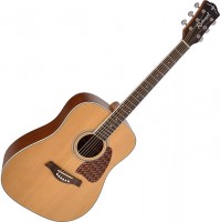 Купить гитара Richwood RD-17C  по цене от 9600 грн.
