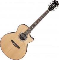 Купить гітара Ibanez MRC10: цена от 63922 грн.