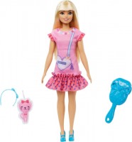 Купить кукла Barbie Malibu HLL19  по цене от 990 грн.