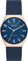 Купить наручные часы Skagen SKW6834  по цене от 11300 грн.