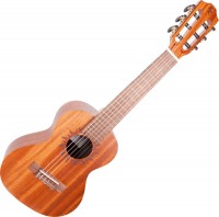Купить гитара Baton Rouge V2-GT sun: цена от 9499 грн.