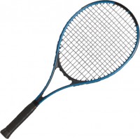 Купить ракетка для великого тенісу Artengo TR110: цена от 1500 грн.