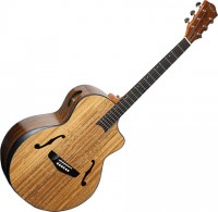 Купить гітара Deviser LS-580: цена от 5299 грн.