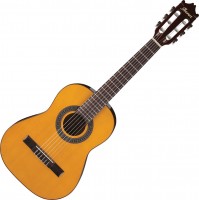 Купити гітара Ibanez GA1 за ціною від 7999 грн.