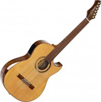 Купити гітара Ortega Flametal-TWO  за ціною від 56028 грн.
