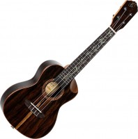 Купить гитара Ortega RUET-ZC: цена от 19840 грн.