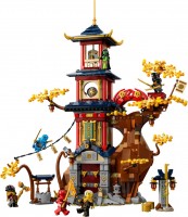 Купить конструктор Lego Temple of the Dragon Energy Cores 71795  по цене от 3996 грн.