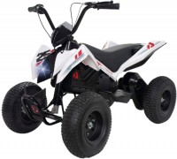 Купити дитячий електромобіль INJUSA X-Treme Dirt 2x12V  за ціною від 41580 грн.