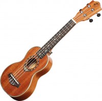 Купить гітара Deviser UK-LA01-21: цена от 1849 грн.