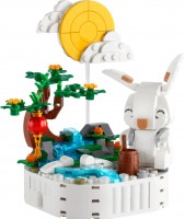 Купить конструктор Lego Jade Rabbit 40643  по цене от 1599 грн.