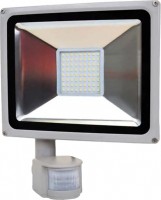 Купить прожектор / світильник LIGHTWELL LW-50W-220PIR: цена от 1089 грн.