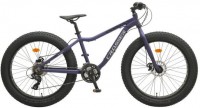 Купить велосипед Crosser Fat Bike 26: цена от 9225 грн.