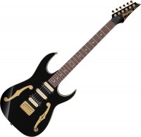 Купить електрогітара / бас-гітара Ibanez PGM50: цена от 65208 грн.